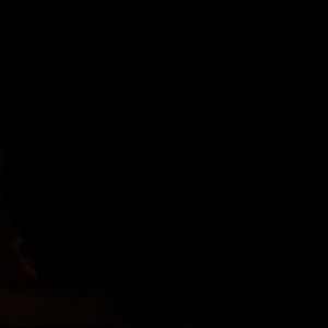 Meet your Posher, Princess